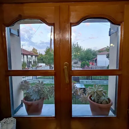 Villa Katerina Trikala  Exterior photo