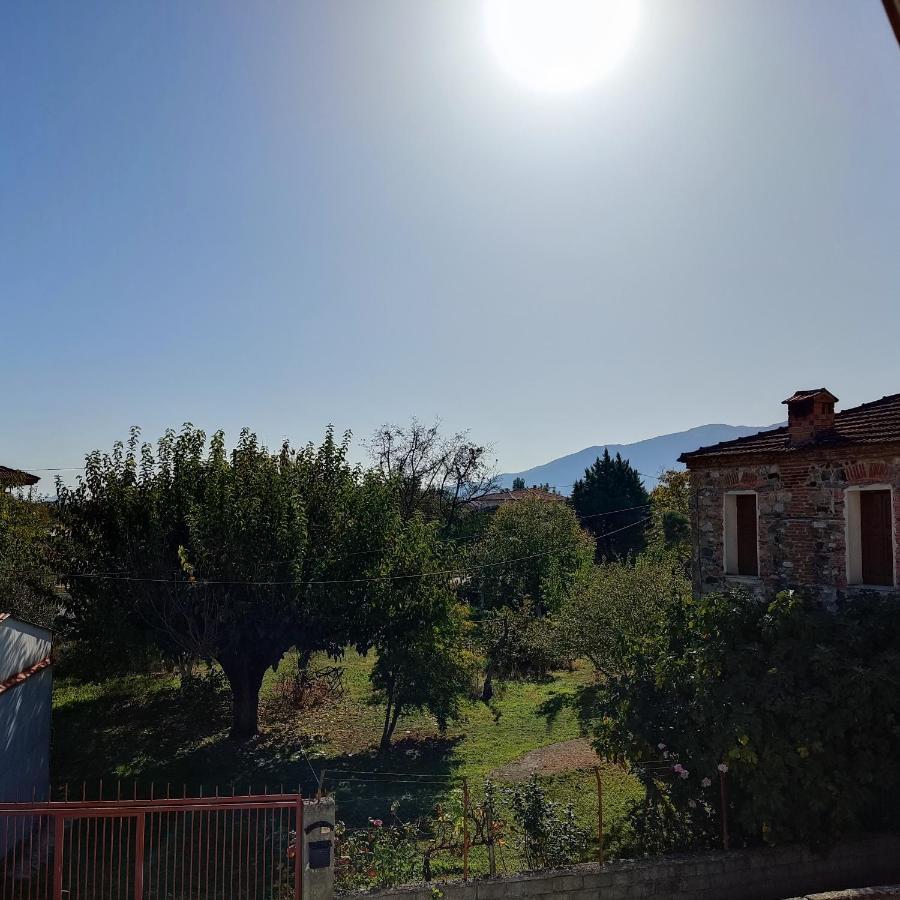 Villa Katerina *